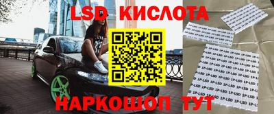 прущие грибы Кандалакша