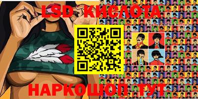 прущие грибы Кандалакша