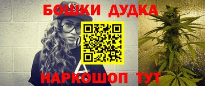 прущие грибы Кандалакша