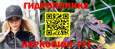 прущие грибы Кандалакша