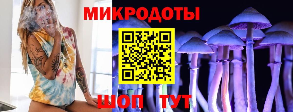 Галлюциногенные грибы ЛСД Качканар