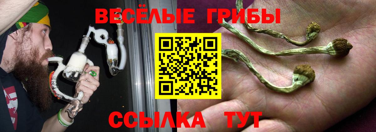 Магазины продажи наркотиков  МЕТАМФЕТАМИН  Вход с VPN  Меф кристаллы  Качканар  Alpha-PVP СК кристаллы  Вейп ТГК  Гашиш  КОКАИН  Бошки Шишки  Героин 
