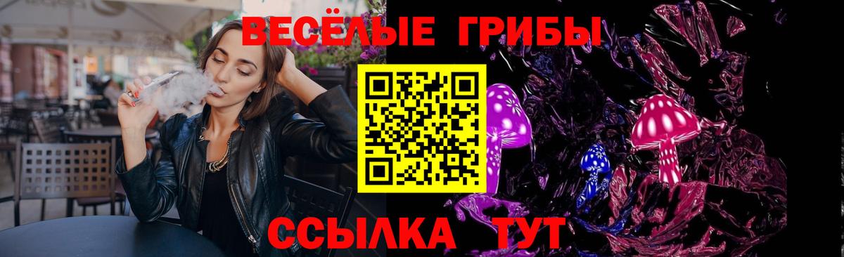 Псилоцибиновые грибы Качканар