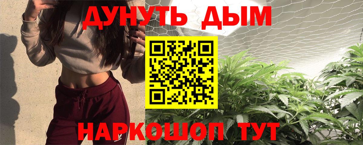 Каннабис сатива Качканар